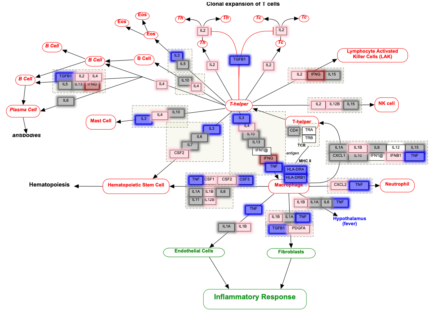 wikipathways.PNG